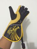 Falconry Embroidery Gloves